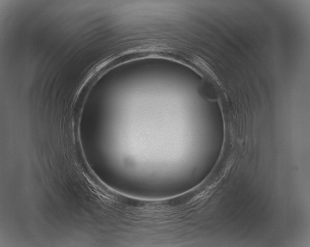 X0000052950781200507300044