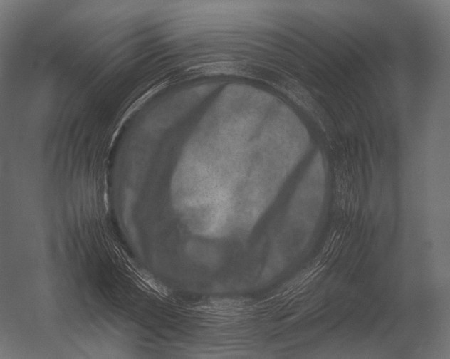 X0000052950782200507300044