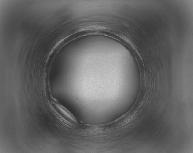 X0000052950783200507300044