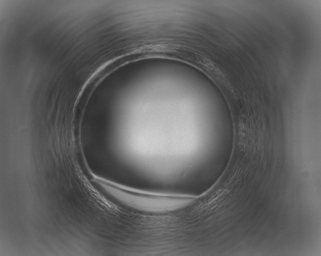 X0000052950784200507300044