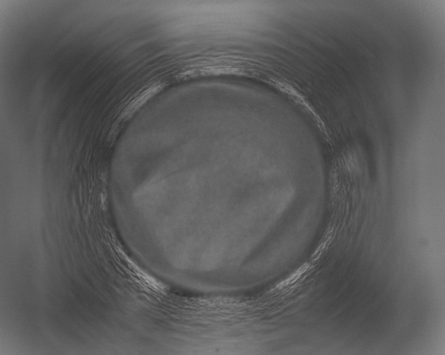 X0000052950785200507300044