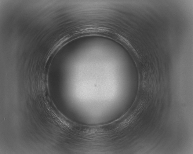X0000052950786200507300044
