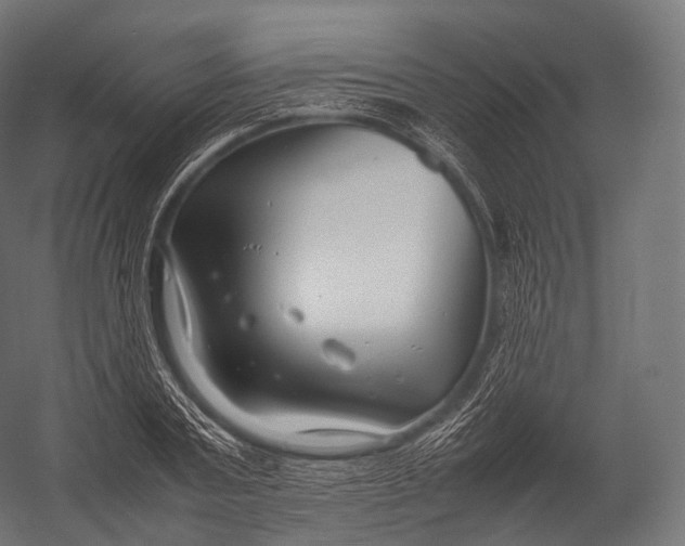 X0000052950787200507300044