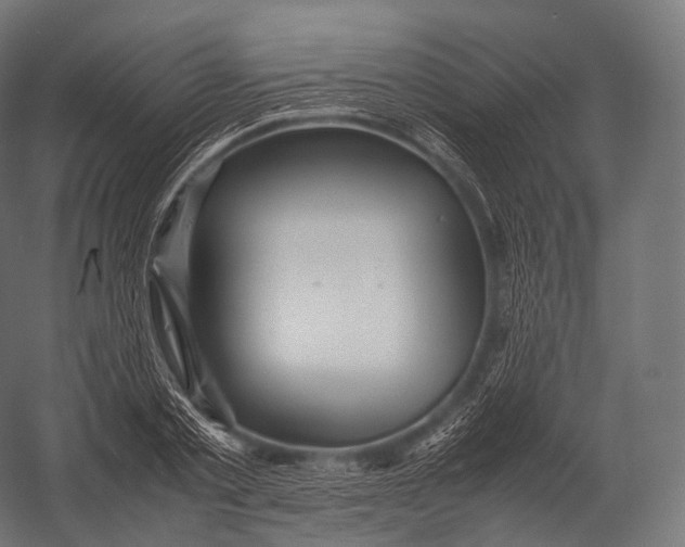 X0000052950789200507300044