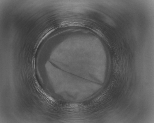 X0000052950790200507300044