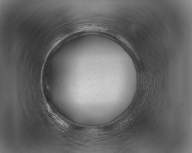X0000052950791200507300044