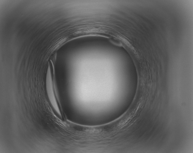 X0000052950793200507300044