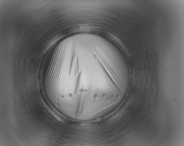 X0000052950794200507300044