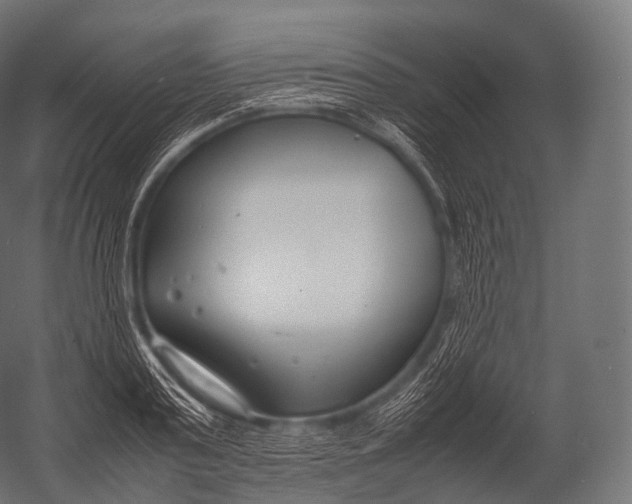 X0000052950795200507300044