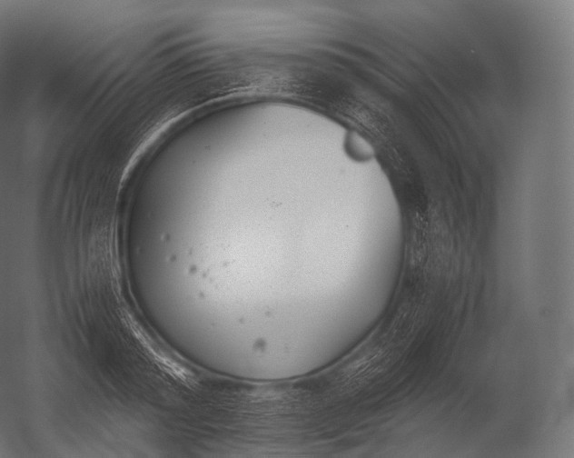 X0000052950796200507300044