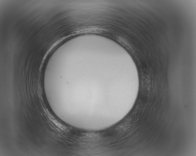X0000052950800200507300044