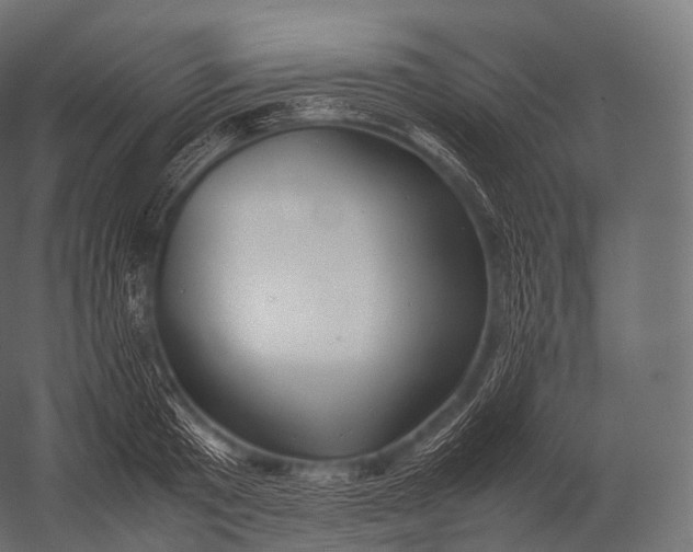 X0000052950801200507300044