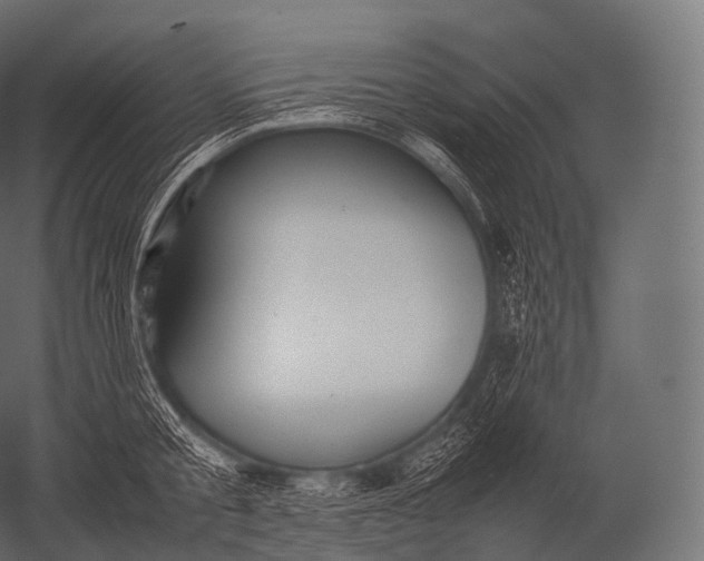 X0000052950805200507300043
