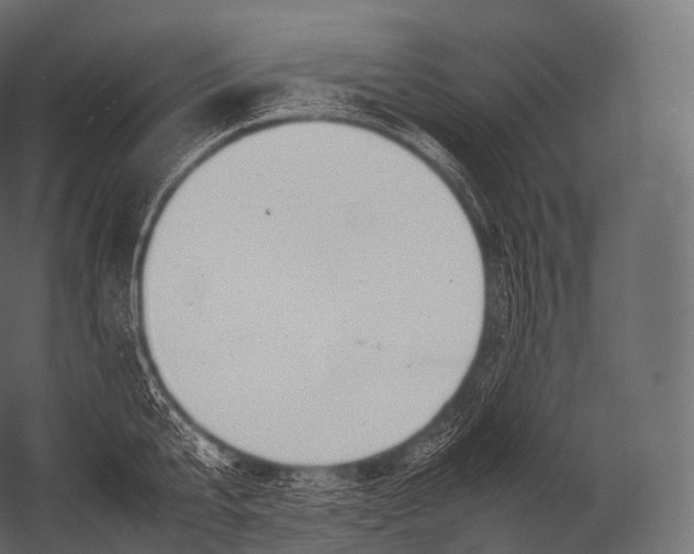 X0000052950807200507300043