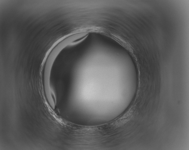X0000052950816200507300043