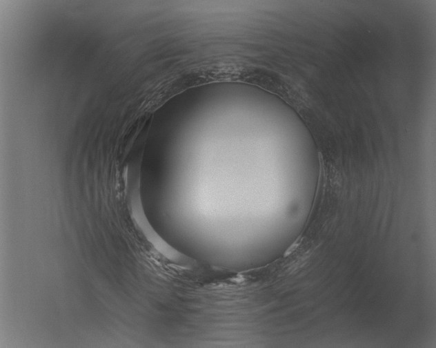 X0000052950818200507300043