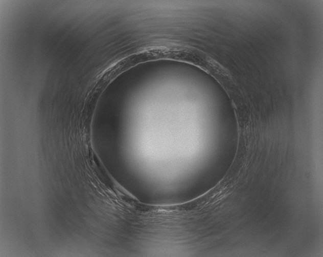 X0000052950822200507300043