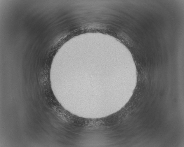 X0000052950824200507300043