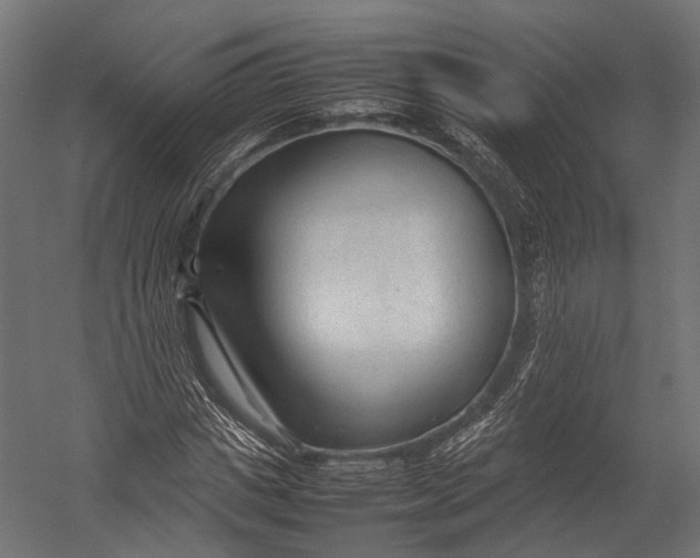 X0000052950825200507300043