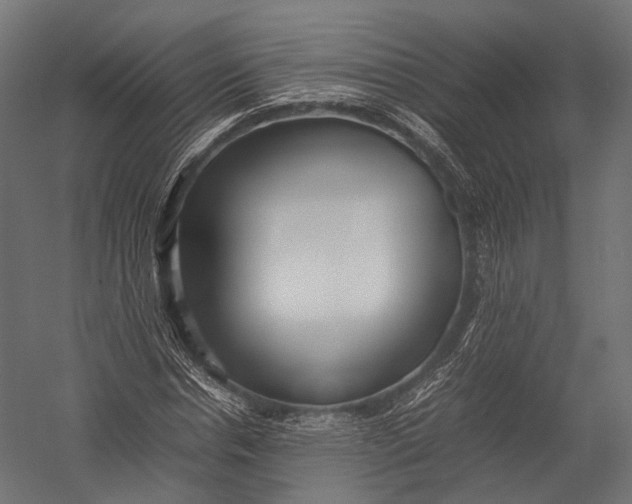 X0000052950826200507300043
