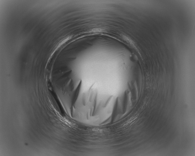 X0000052950827200507300043