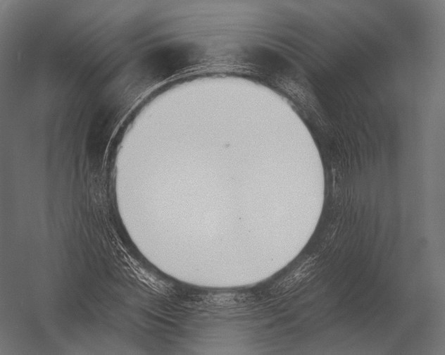 X0000052950828200507300043