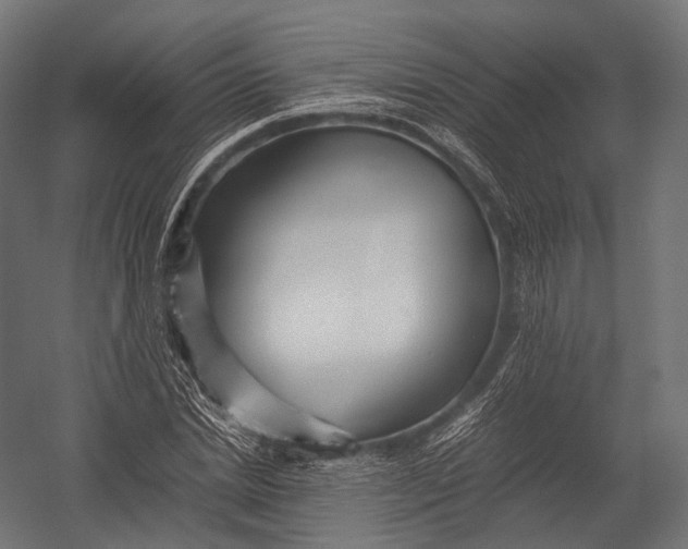 X0000052950830200507300043
