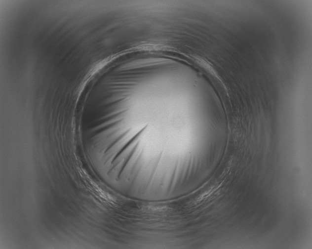 X0000052950831200507300043