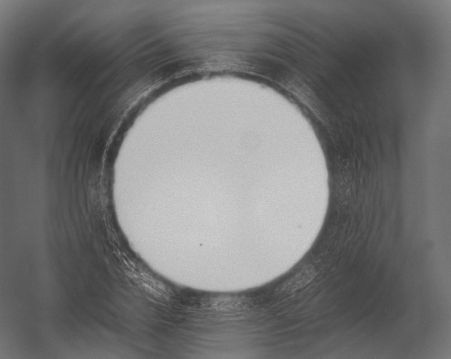 X0000052950832200507300043
