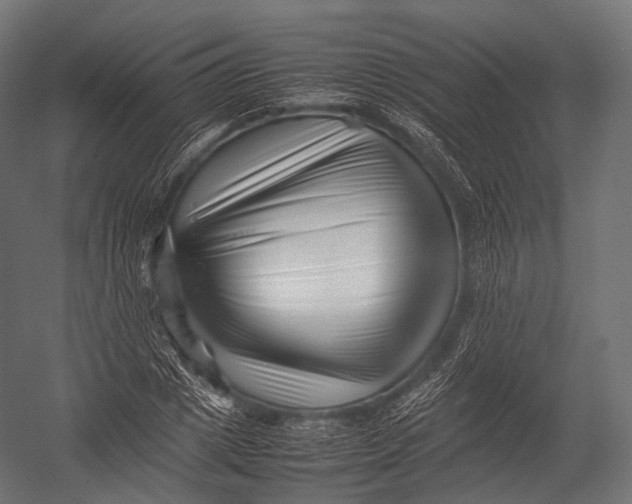 X0000052950833200507300043