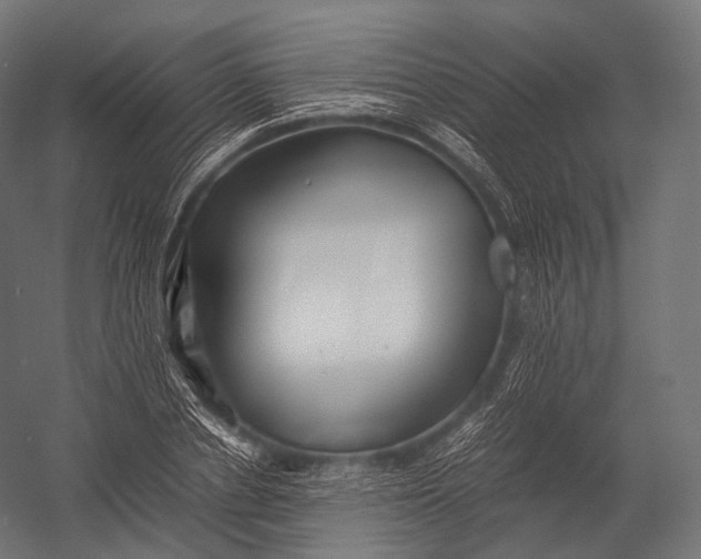 X0000052950834200507300043