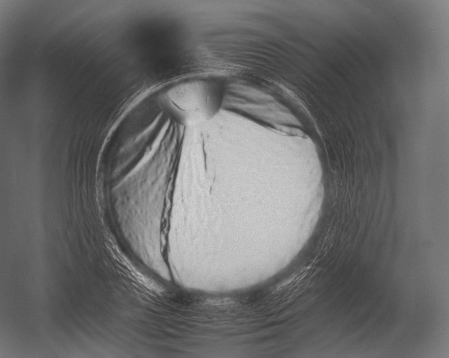 X0000052950835200507300043
