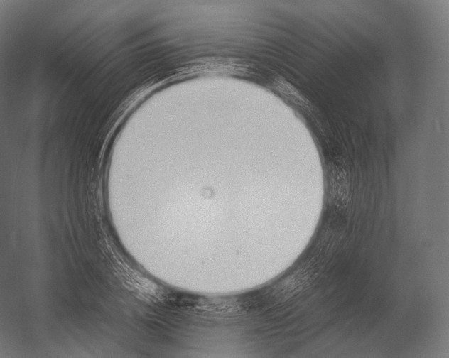 X0000052950836200507300043