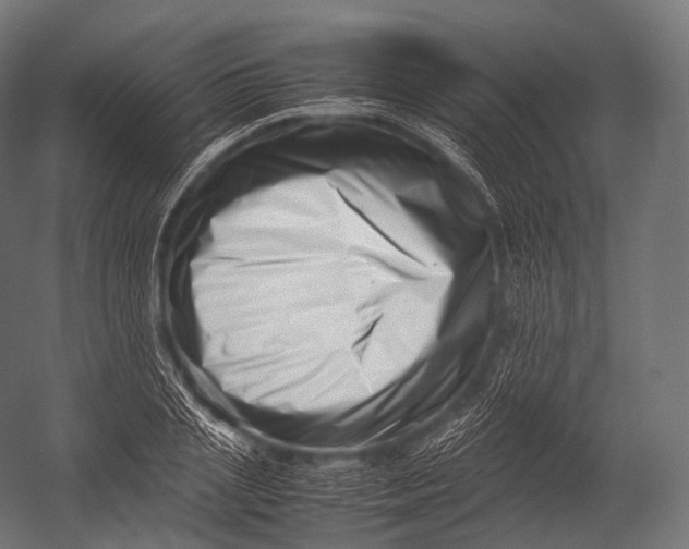 X0000052950837200507300043