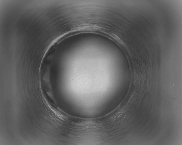 X0000052950838200507300043