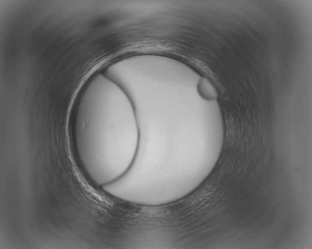 X0000052950840200507300043