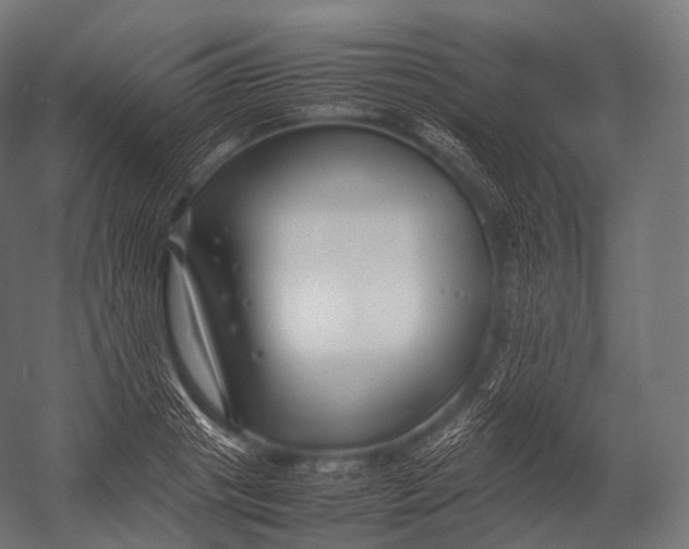 X0000052950841200507300043