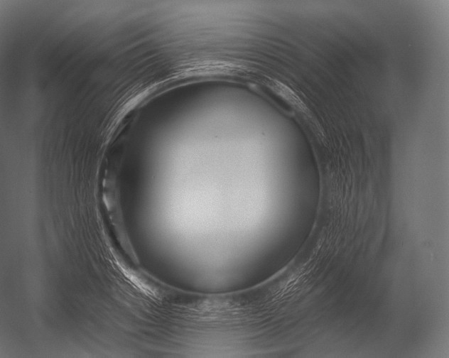 X0000052950842200507300043