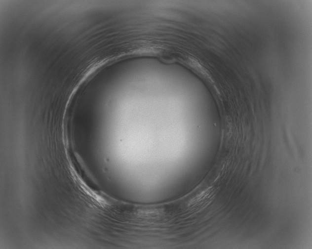 X0000052950843200507300043