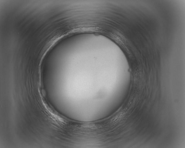 X0000052950844200507300043