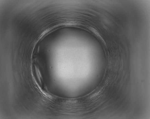 X0000052950845200507300043