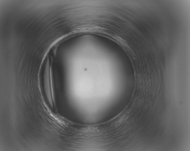 X0000052950846200507300043