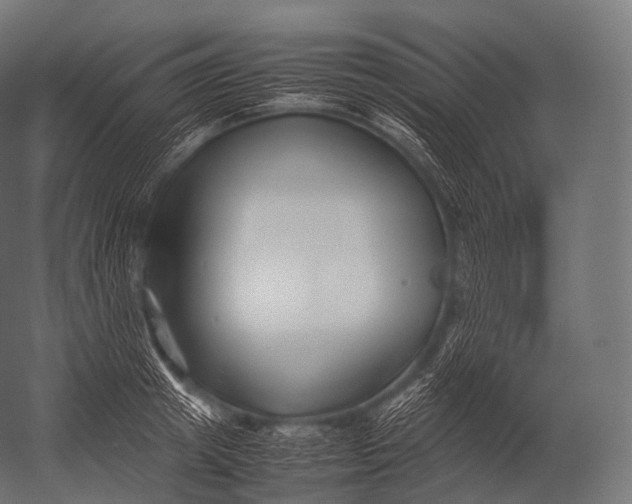 X0000052950849200507300043