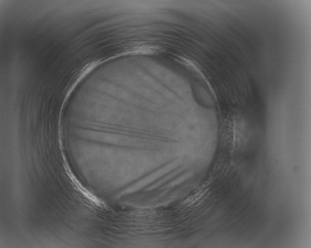 X0000052950851200507300043