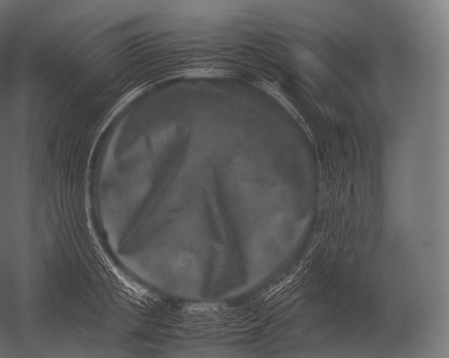 X0000052950853200507300043