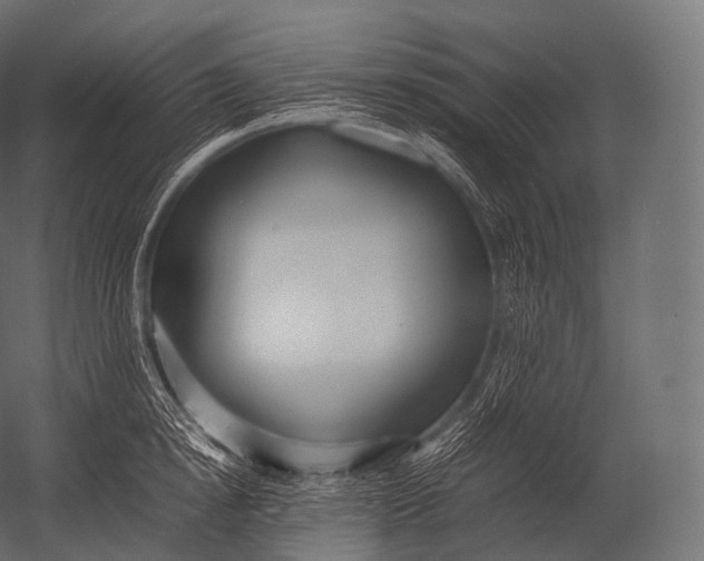 X0000052950854200507300043