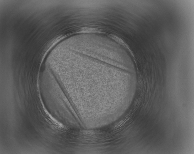 X0000052950855200507300043