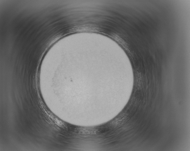 X0000052950856200507300043