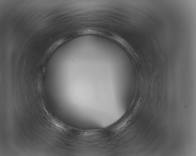 X0000052950857200507300043