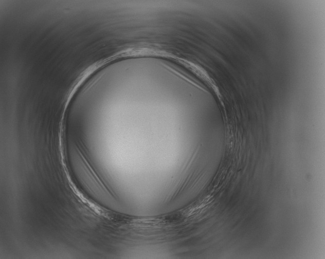X0000052950863200507300043